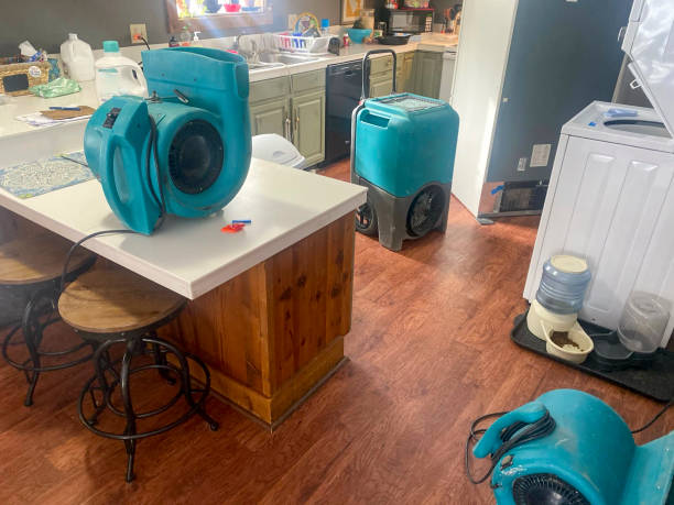 Water damage restoration process in Wiggins, MS