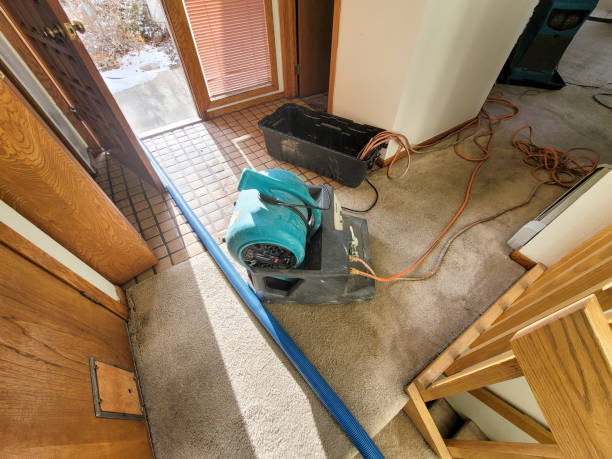  Wiggins, MS Water damage restoration Pros