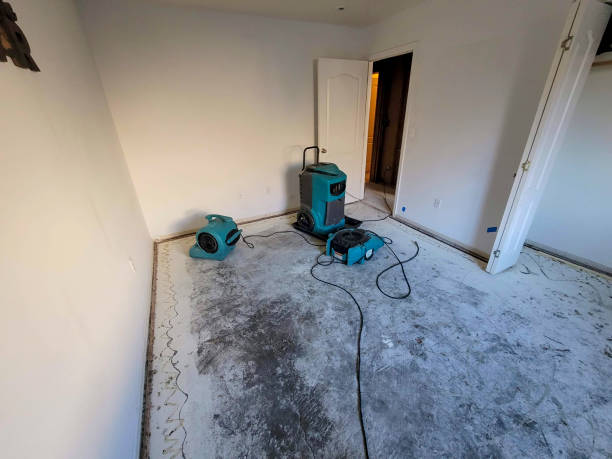 Best Flood restoration services  in Wiggins, MS