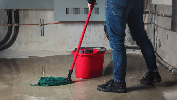 Reliable Wiggins, MS Water damage restoration Solutions