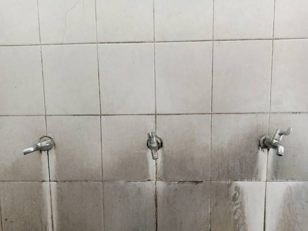 Best 24/7 water damage repair  in Wiggins, MS