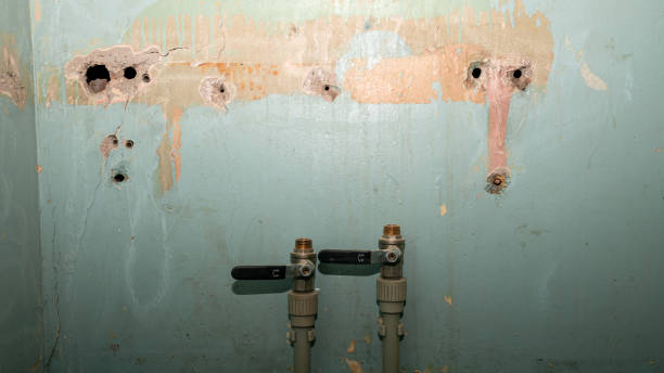 Best Mold removal after water damage  in Wiggins, MS