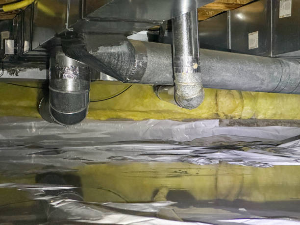 Best Flood damage cleanup  in Wiggins, MS