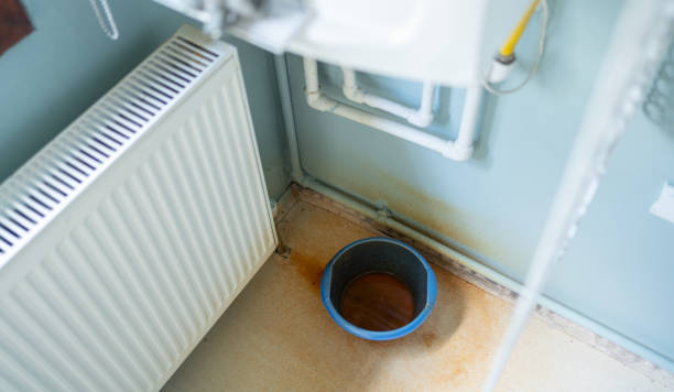 Best Water damage restoration specialists  in Wiggins, MS