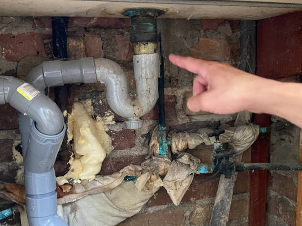 Best Professional water damage repair  in Wiggins, MS