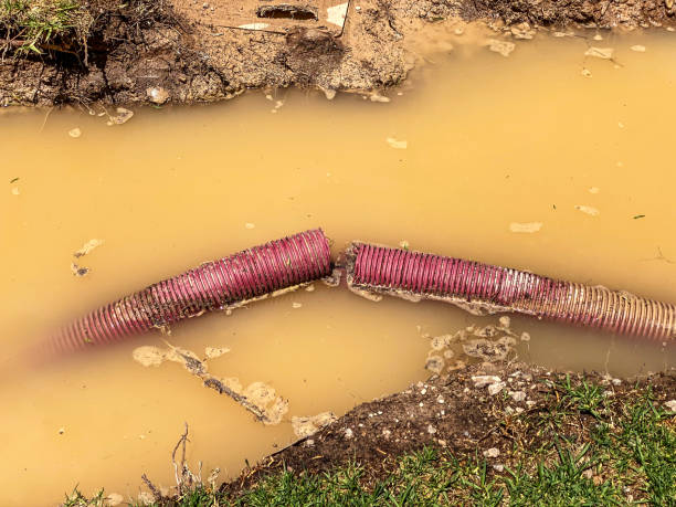 Best Water damage restoration near me  in Wiggins, MS