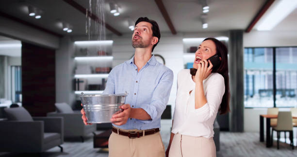 Best Flood restoration services  in Wiggins, MS